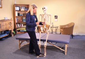 Sissel and Mr. Bones at Feldenkrais Studio